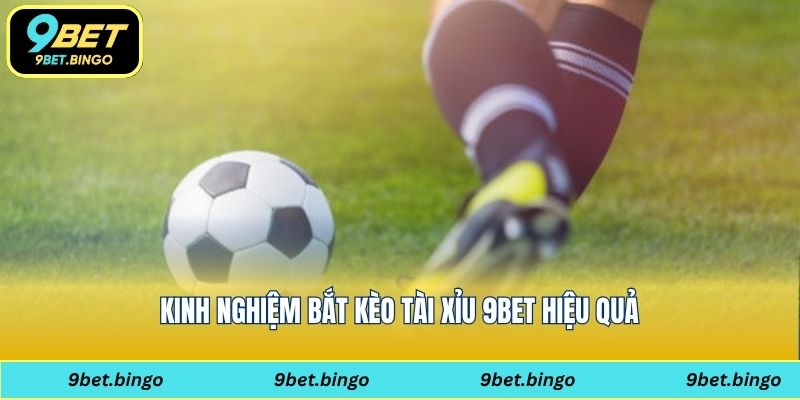 Kinh nghiệm bắt kèo tài xỉu 9bet hiệu quả