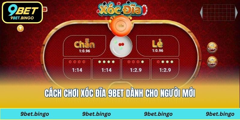 Cách chơi xóc đĩa 9bet dành cho người mới